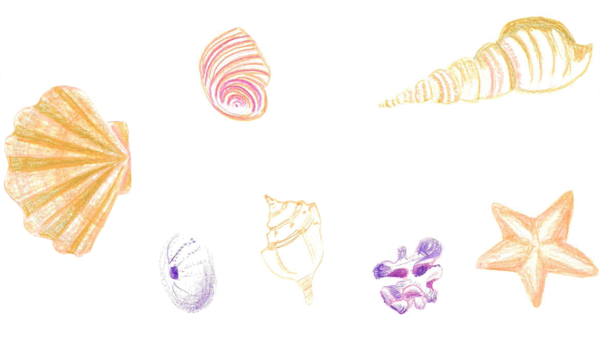 Semi-customised designs